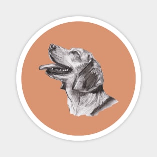 Classic Beagle Dog Profile Drawing Magnet